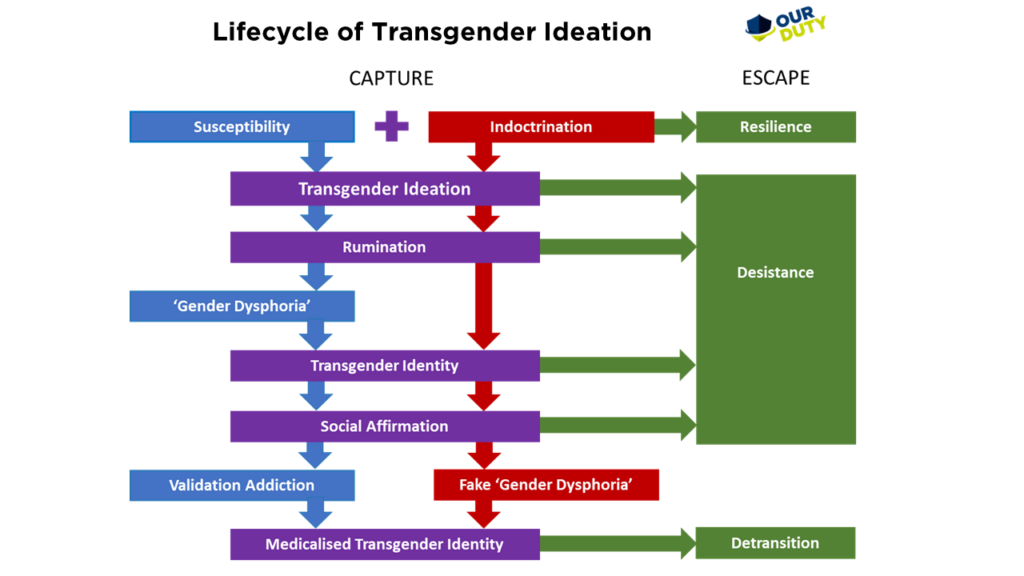 A model of transgender ideation
