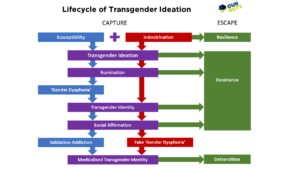A model of transgender ideation
